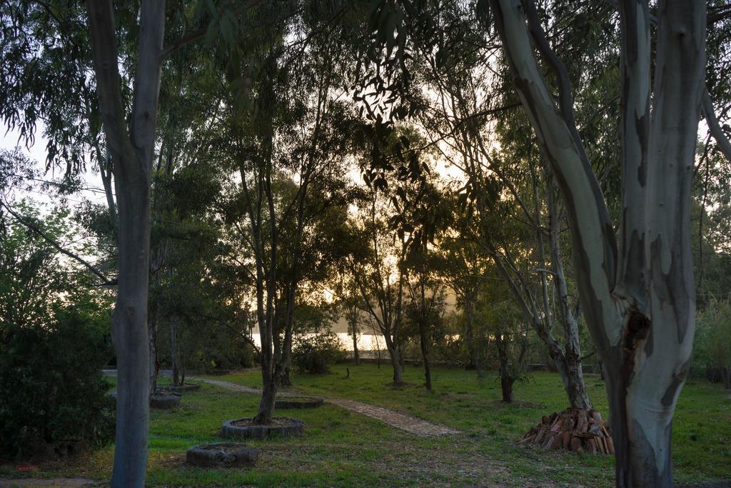 Villa Mitsa Kolios المظهر الخارجي الصورة